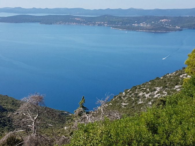 Villa Lavanda Zadar Ugljan