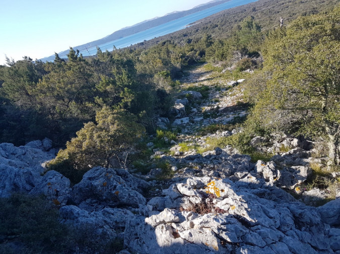 Villa Lavanda Zadar Ugljan